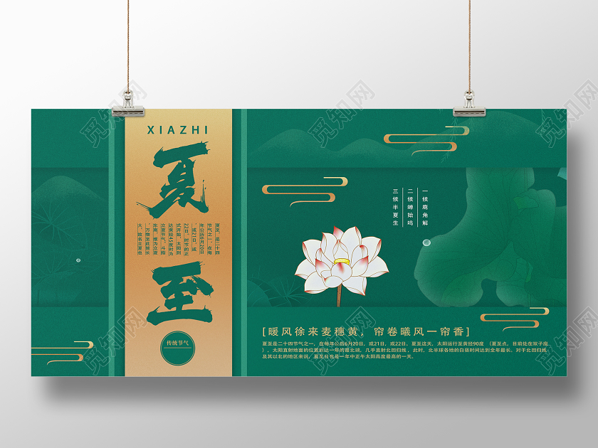 绿色简约夏至二十四节气夏至展板