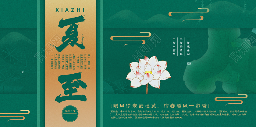 绿色简约夏至二十四节气夏至展板