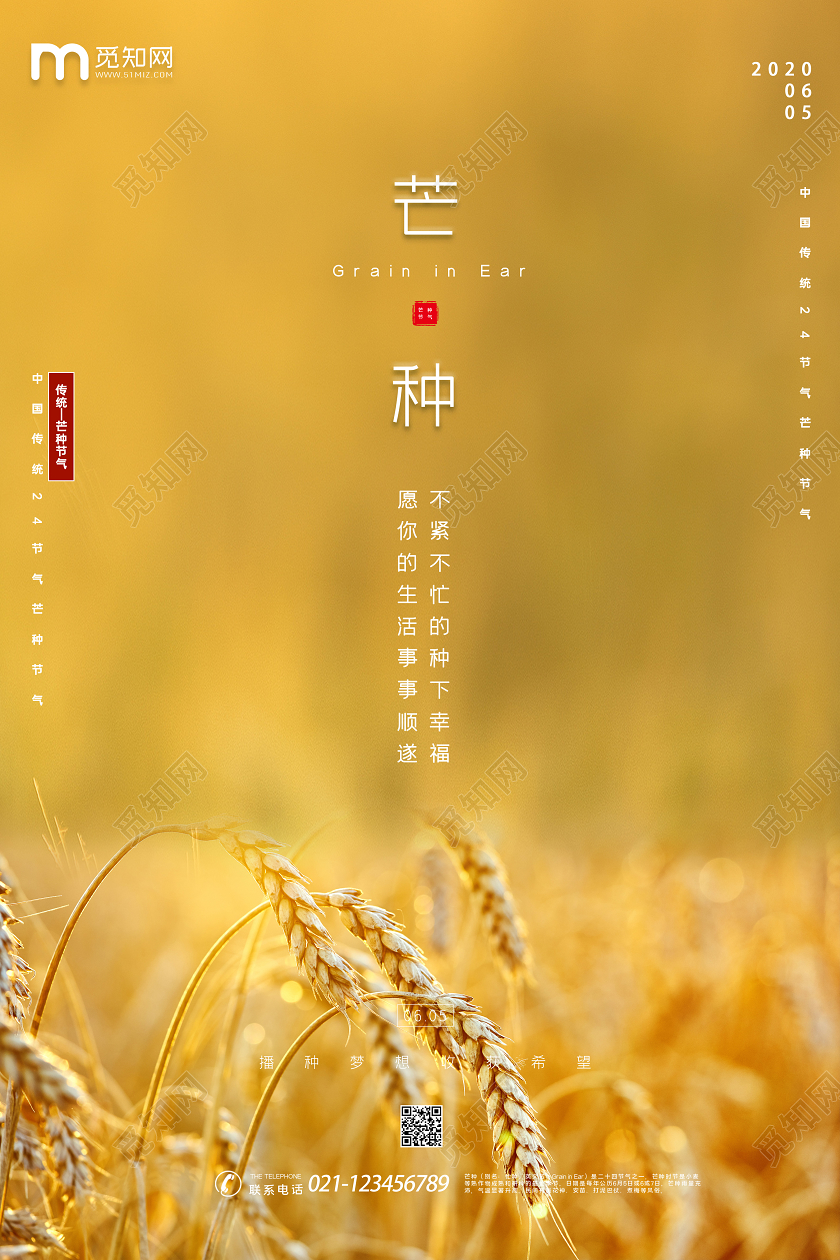 二十四节气实拍风景简约风金黄色芒种公益海报