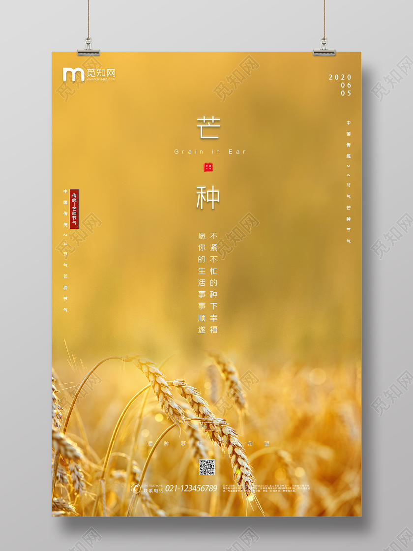 二十四节气实拍风景简约风金黄色芒种公益海报