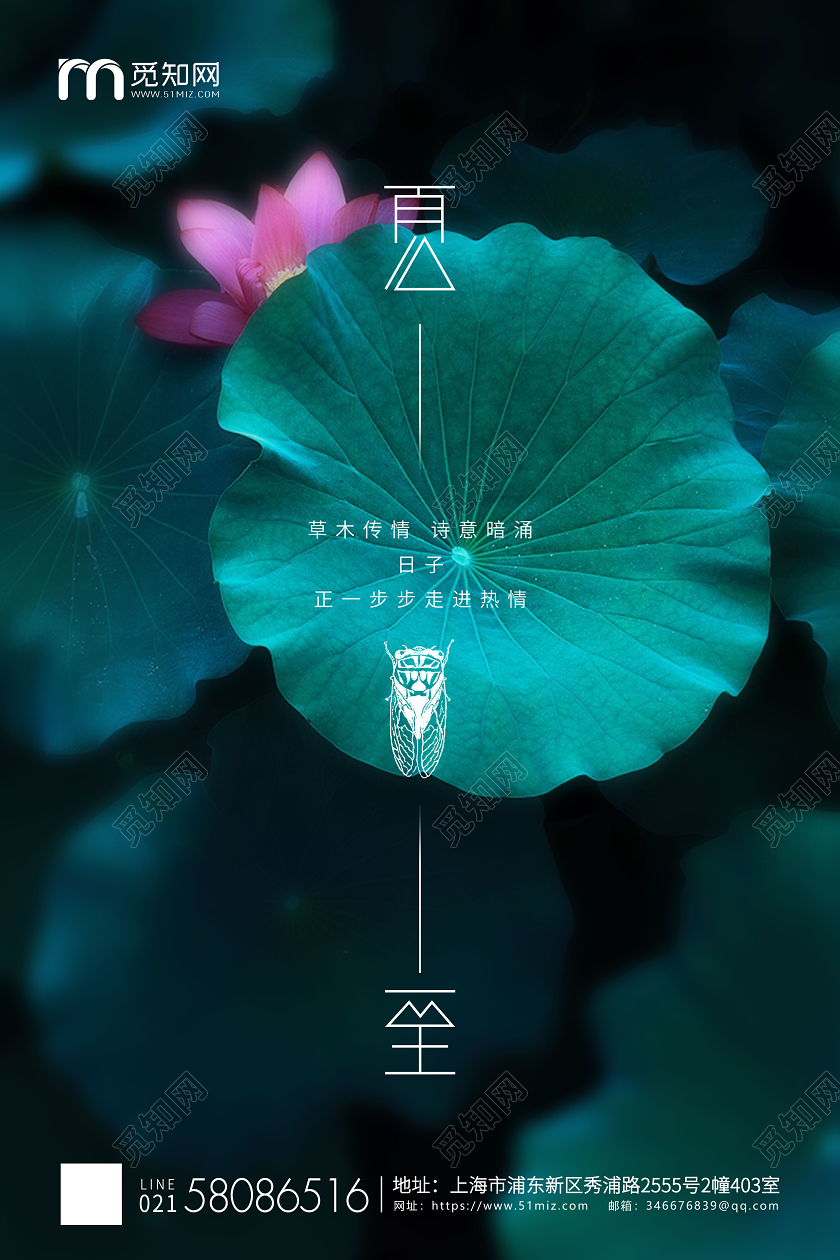 绿色荷叶简约夏至节气二十四节气企业宣传海报