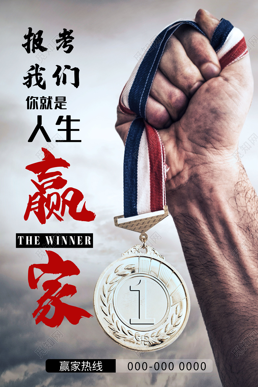 灰色大气报考我们你就是人生赢家高校招生海报