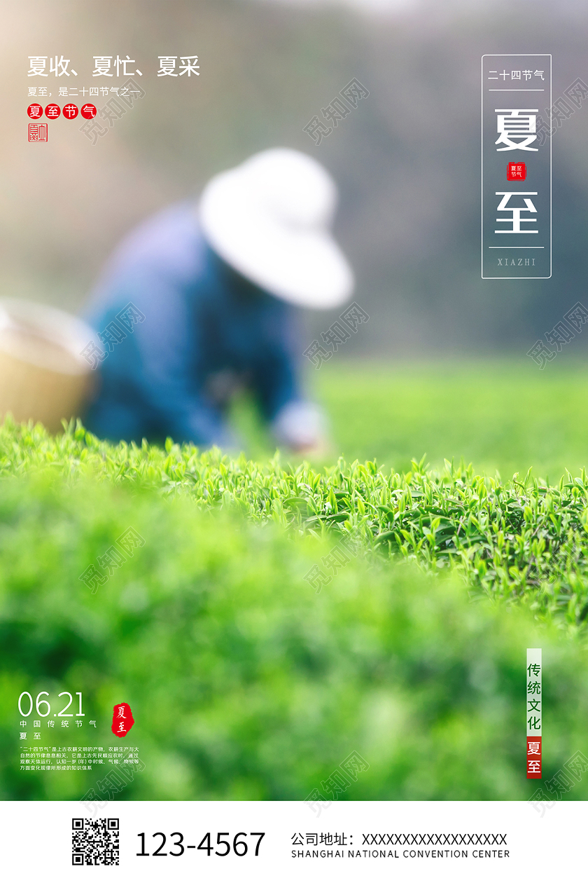 2020丰收季夏收夏忙夏采夏至节气海报