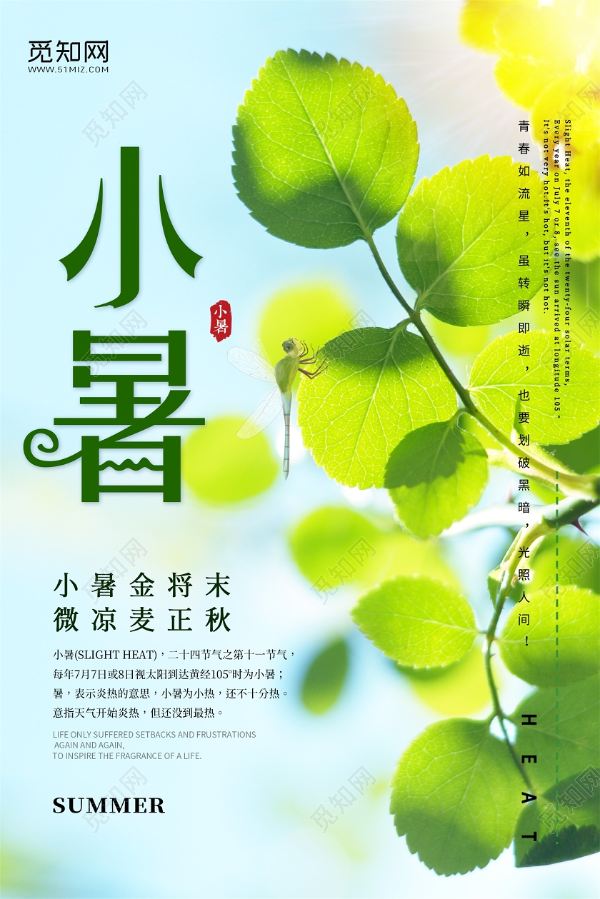 绿色小暑夏天树叶蓝天阳光二十四节气宣传海报二十四节气小暑海报