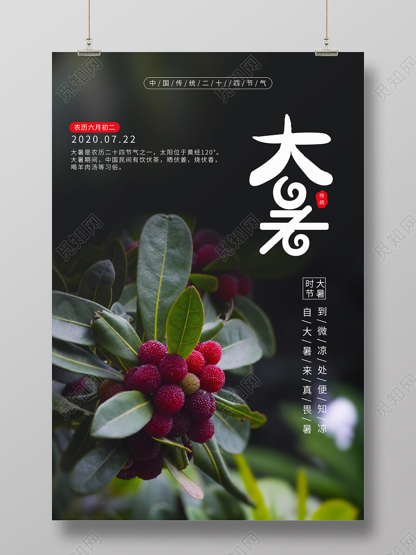 大暑小暑杨梅中国传统节气宣传海报