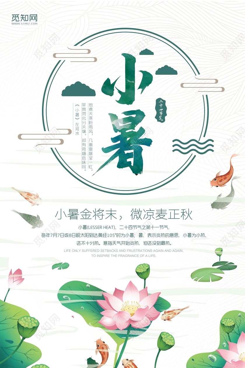 小清新荷花二十四节气节日小暑海报