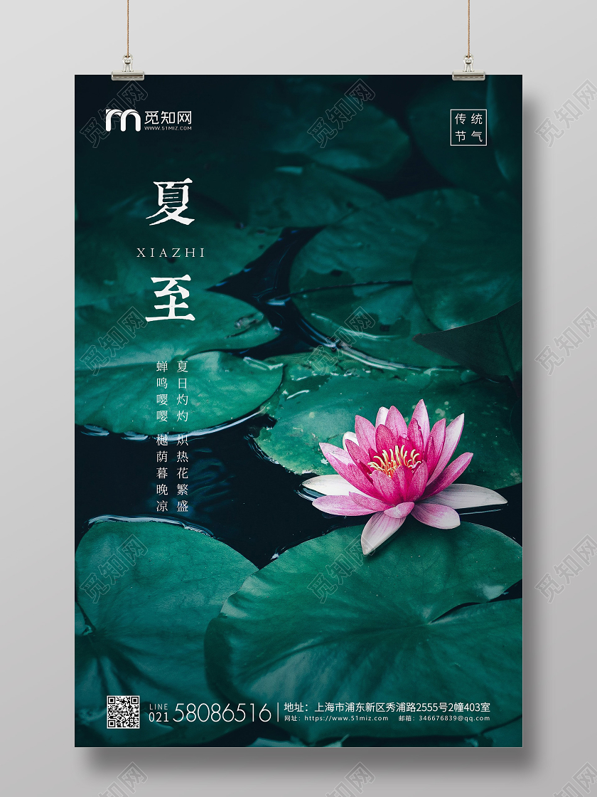 绿色简约夏至节气二十四节气宣传海报