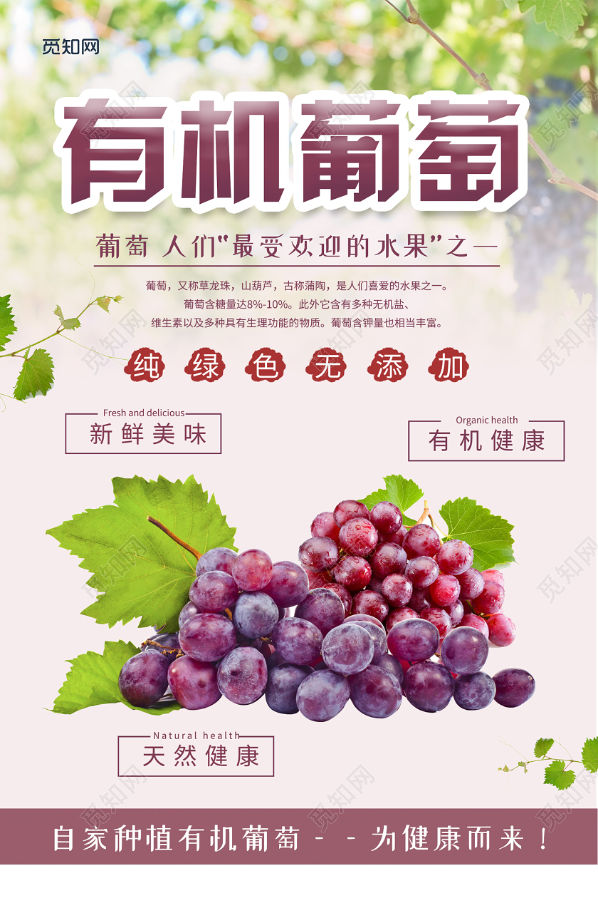 小清新自然有机葡萄海报有机水果