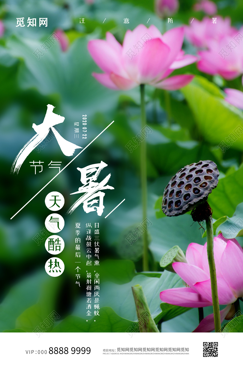 小清新绿色自然二十四节气大暑海报