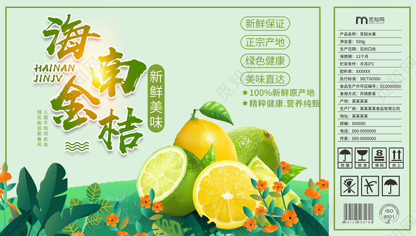 简约淡绿小清新水果包装盒海南金桔礼盒包装手提礼盒