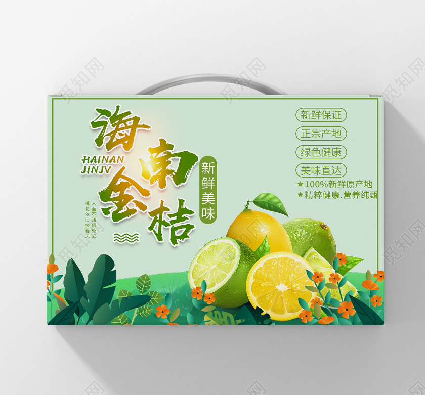 简约淡绿小清新水果包装盒海南金桔礼盒包装手提礼盒