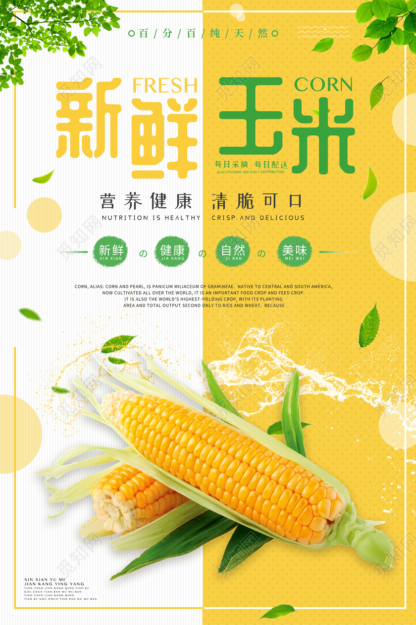 黄色活泼简约新鲜玉米海报玉米农产品美食蔬菜