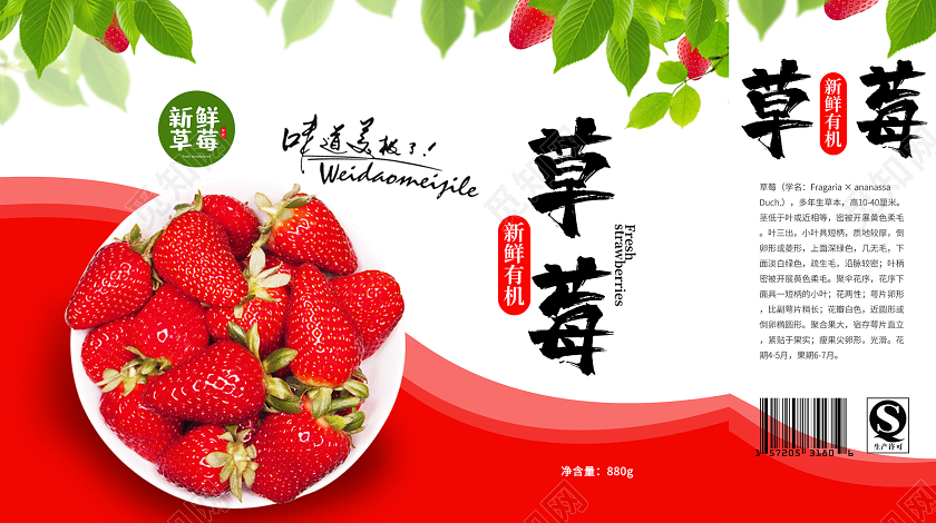 简约大气红色系草莓水果包装盒
