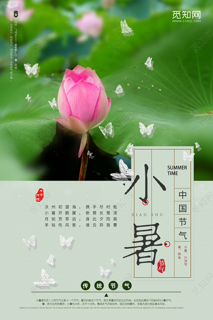 小清新荷花24二十四节气节日小暑海报二十四节气小暑海报