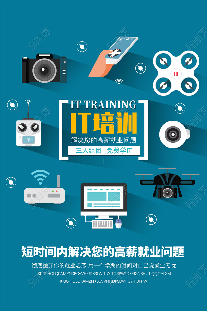 蓝色卡通IT培训解决您的高薪就业问题电脑培训海报