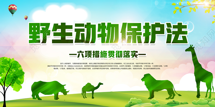 绿色简约保护动物保护法六项措施贯彻落实保护野生动物展板