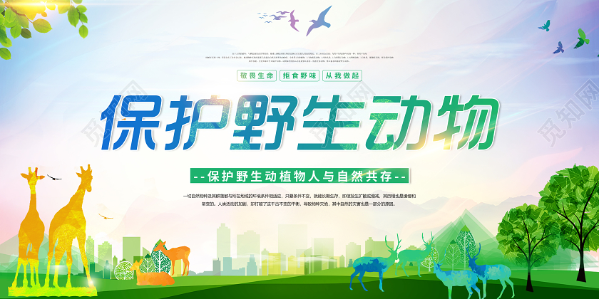 彩色敬畏生命拒绝野味从我做起保护动物安全知识宣传展板