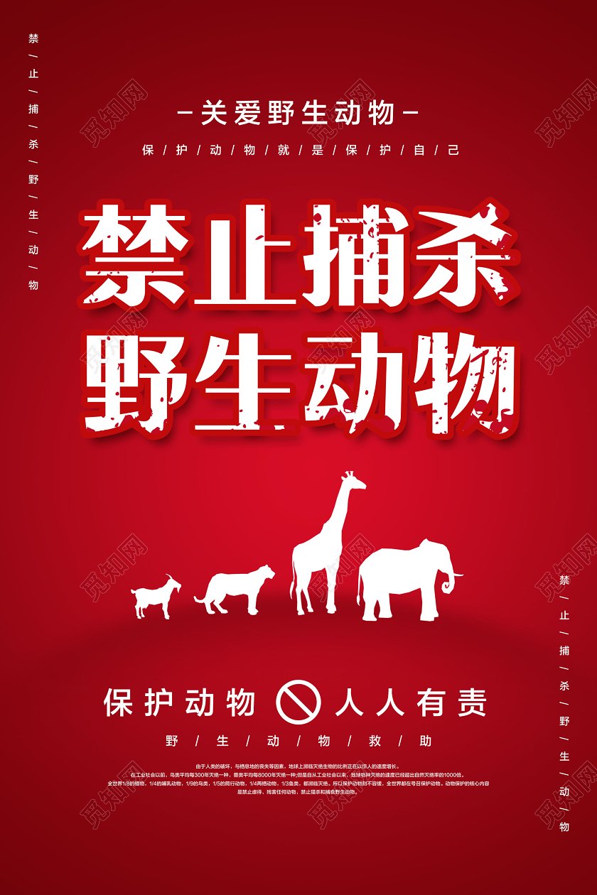红色简约禁止捕杀野生动物保护动物公益海报