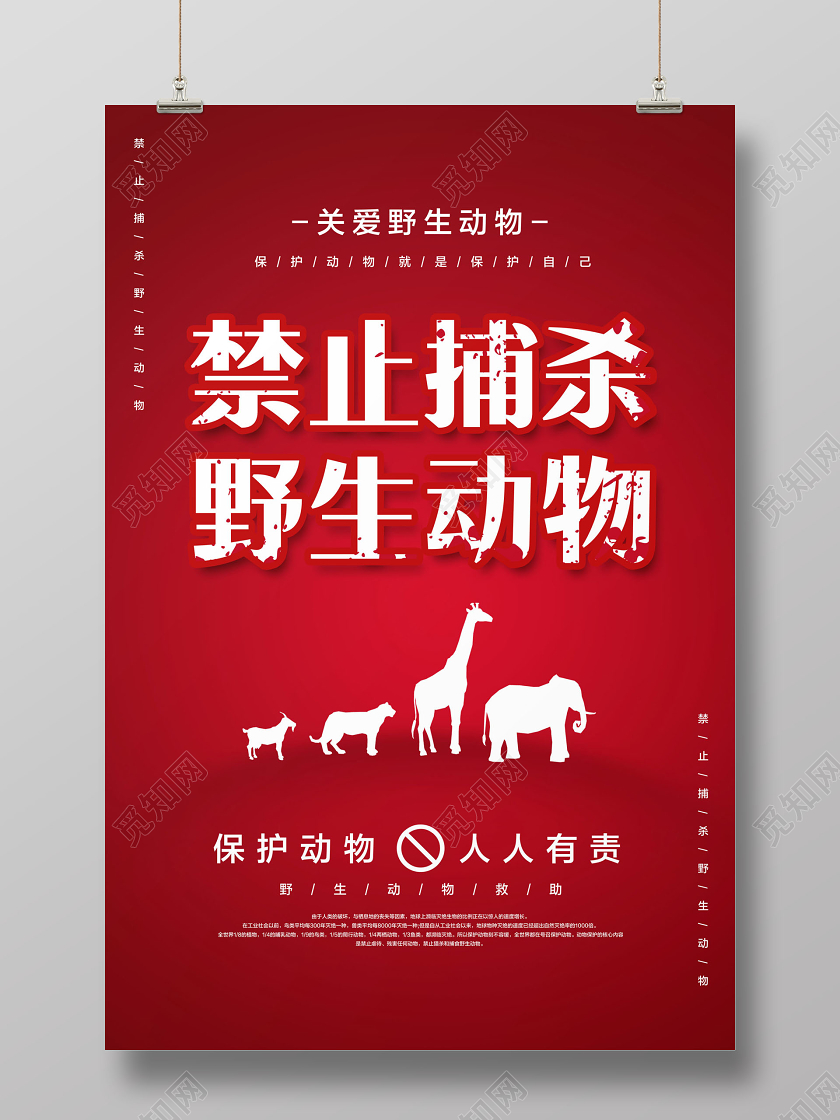 红色简约禁止捕杀野生动物保护动物公益海报