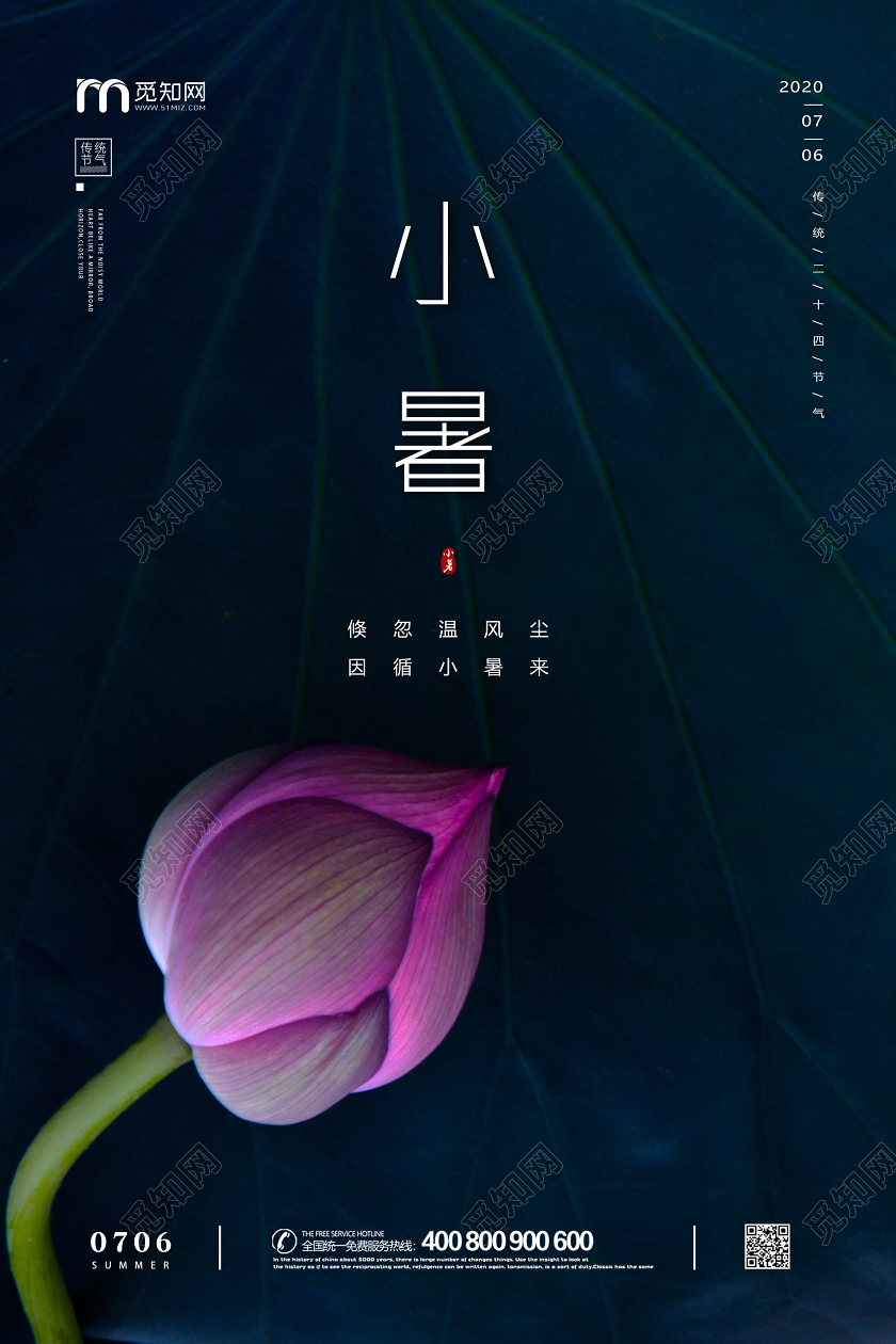 深色简约荷花荷叶夏天小暑二十四节气宣传海报