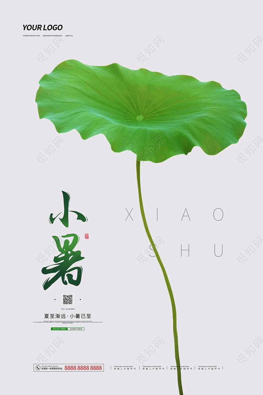 浅灰色简约大气荷叶二十四节气小暑海报