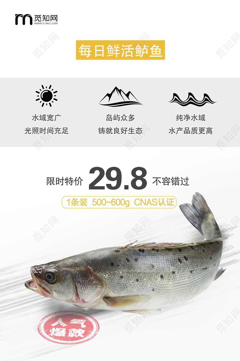 白色简约每日鲜活鲈鱼促销海报美食鱼
