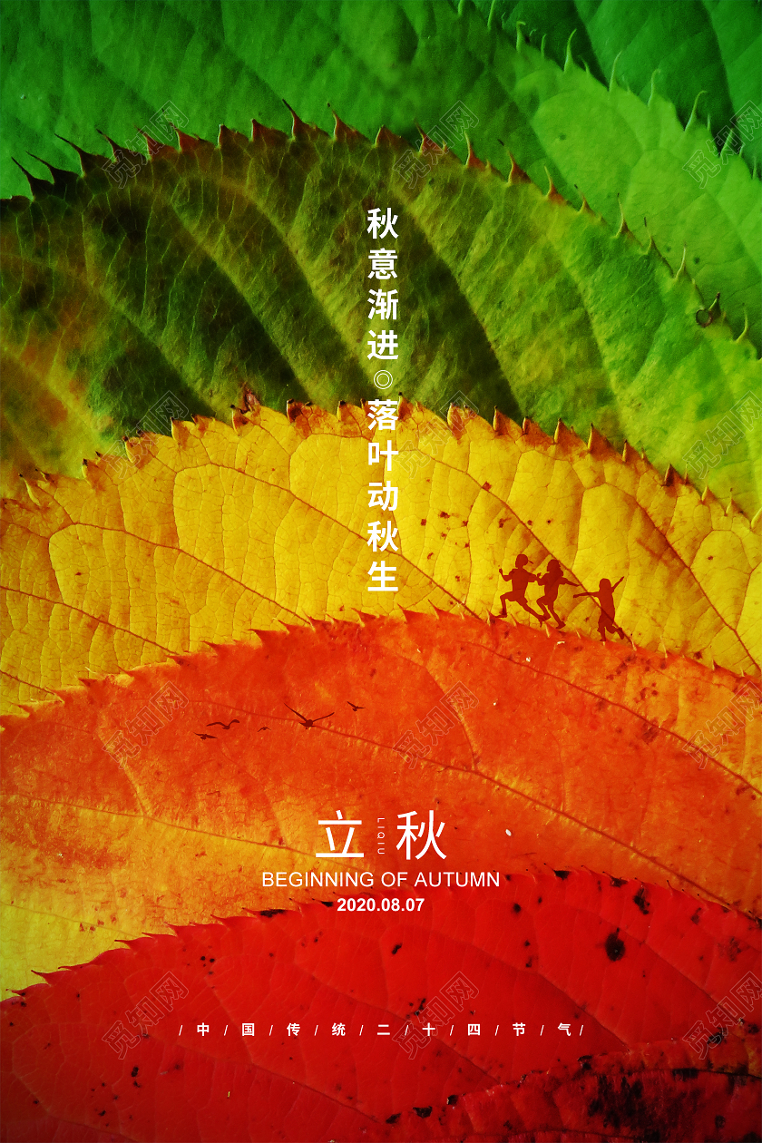 简约二十四节气立秋宣传海报设计