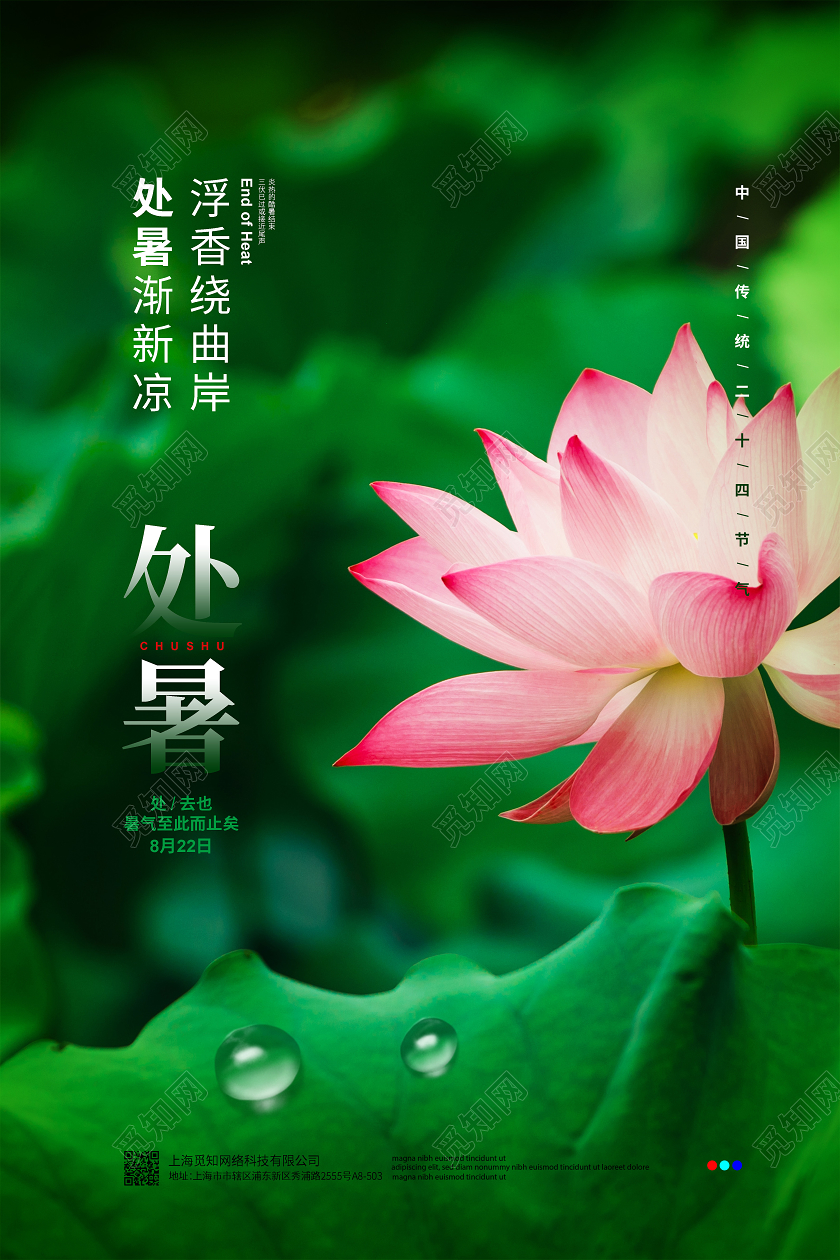 摄影简约二十四节气处暑宣传海报设计