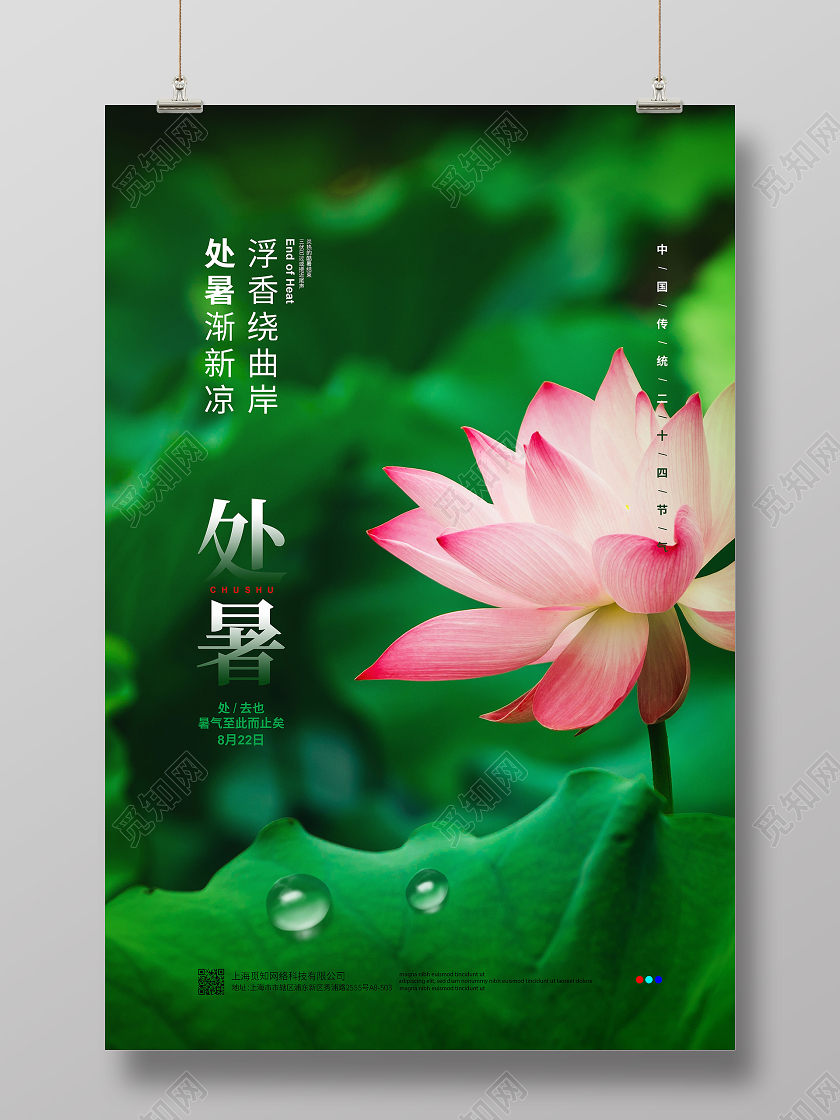 摄影简约二十四节气处暑宣传海报设计