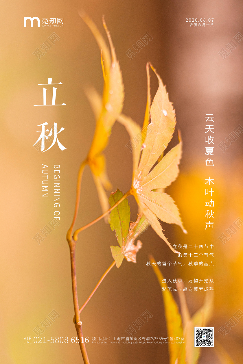 金色简约二十四节气立秋宣传海报