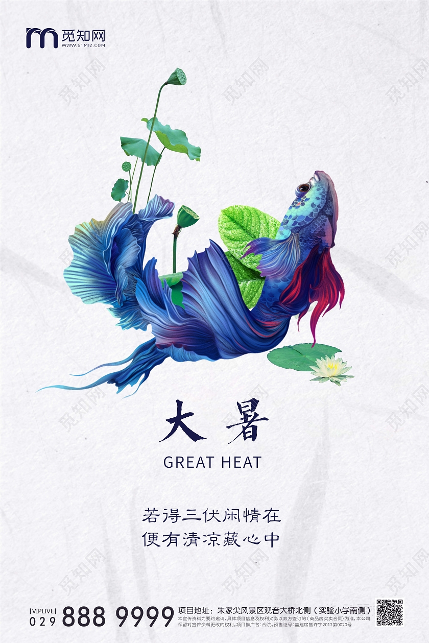 白色底纹24二十四节气大暑创意海报