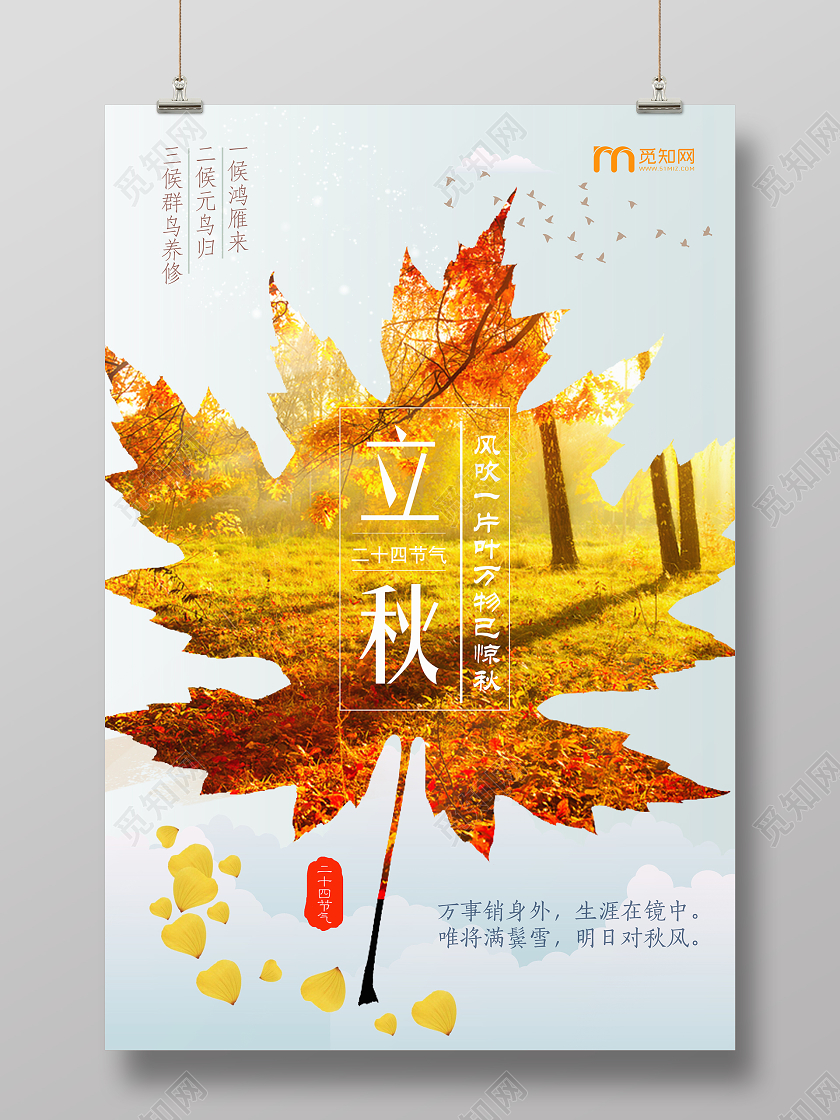 简约二十四节气立秋宣传海报