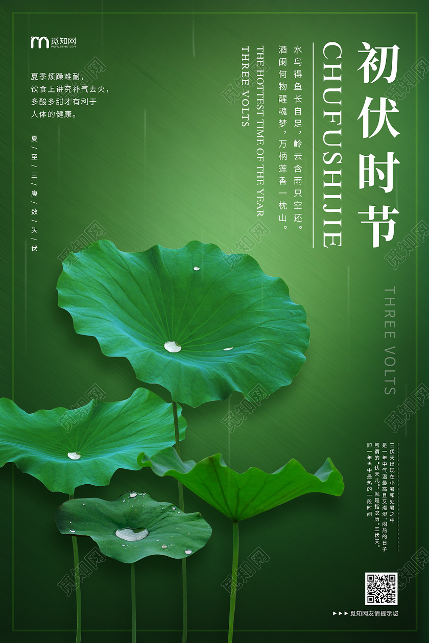 绿色简约荷叶露珠初伏时节三伏天海报