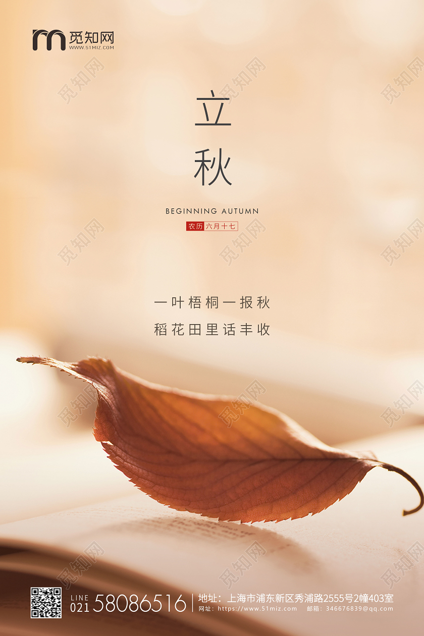 简约立秋节气二十四节气宣传海报