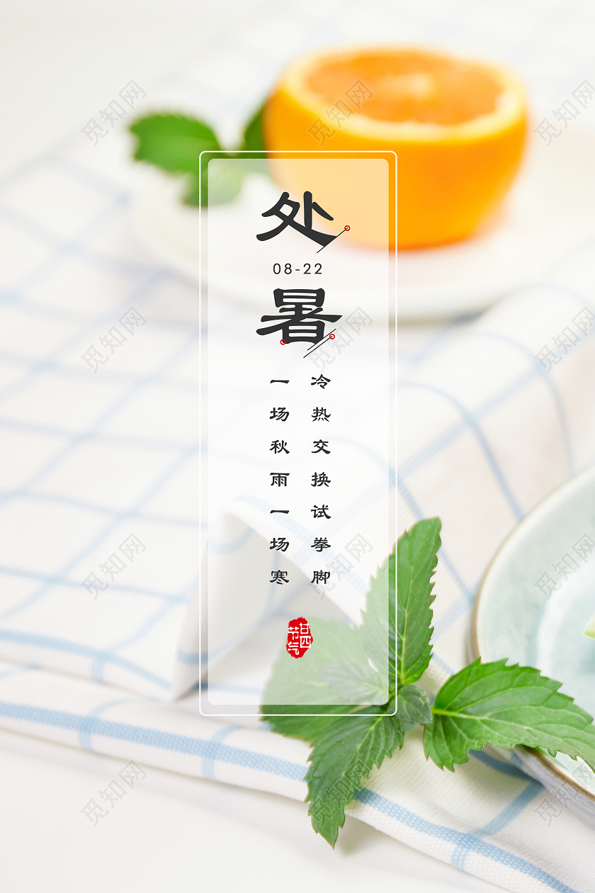 清新简约二十四节气处暑海报背景