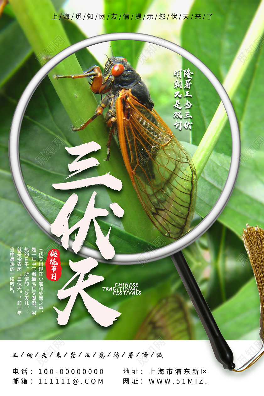 绿色清新三伏天海报