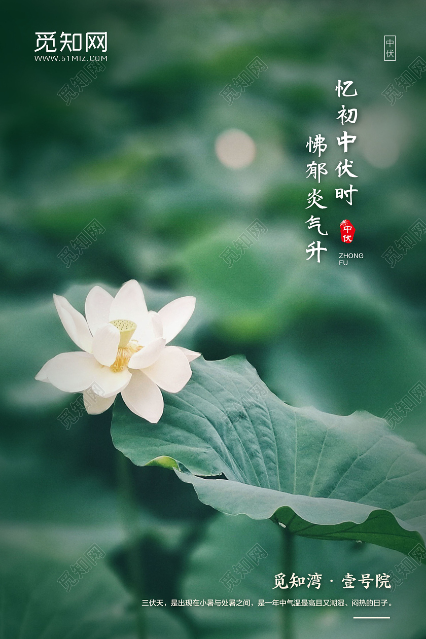 绿色简约忆初中伏时怫郁炎气升三伏天中伏宣传海报