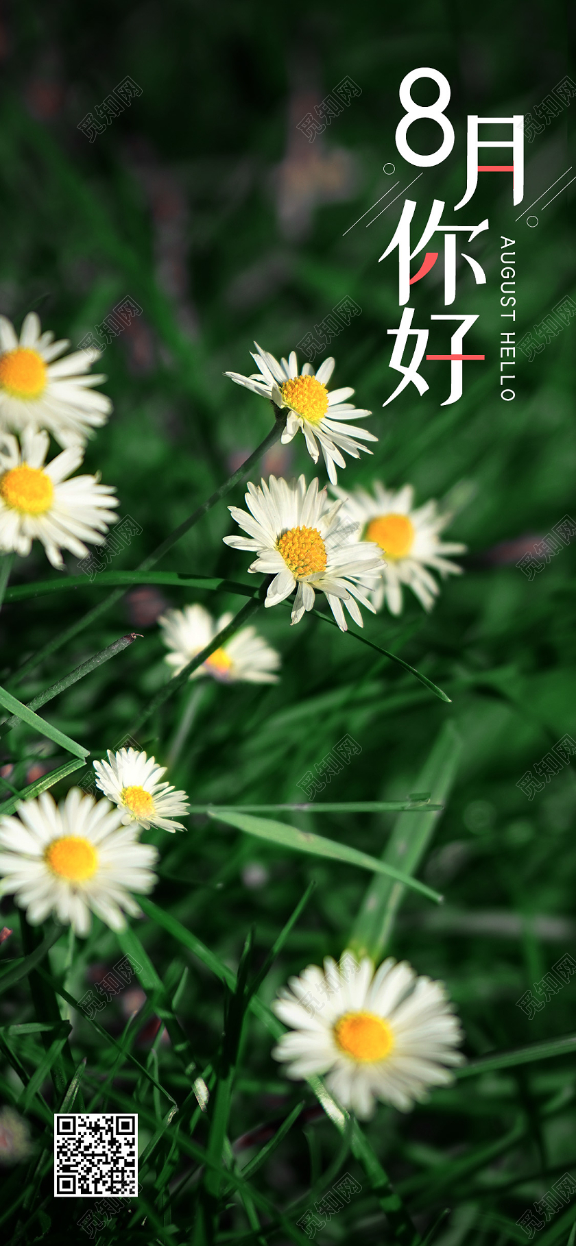 花朵摄影图八月你好手机海报配图