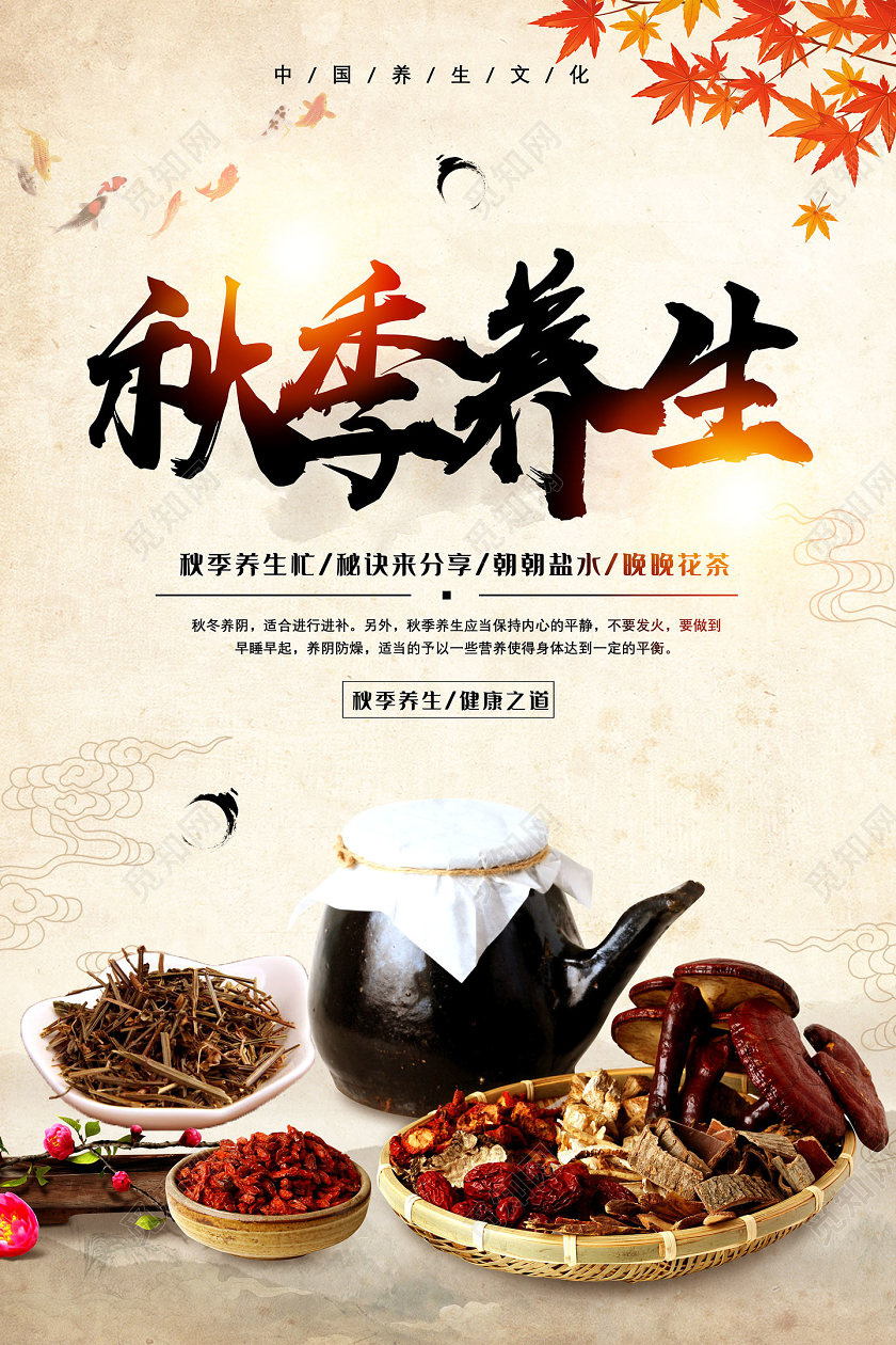 水墨中国风秋季养生秋天秋季养生海报