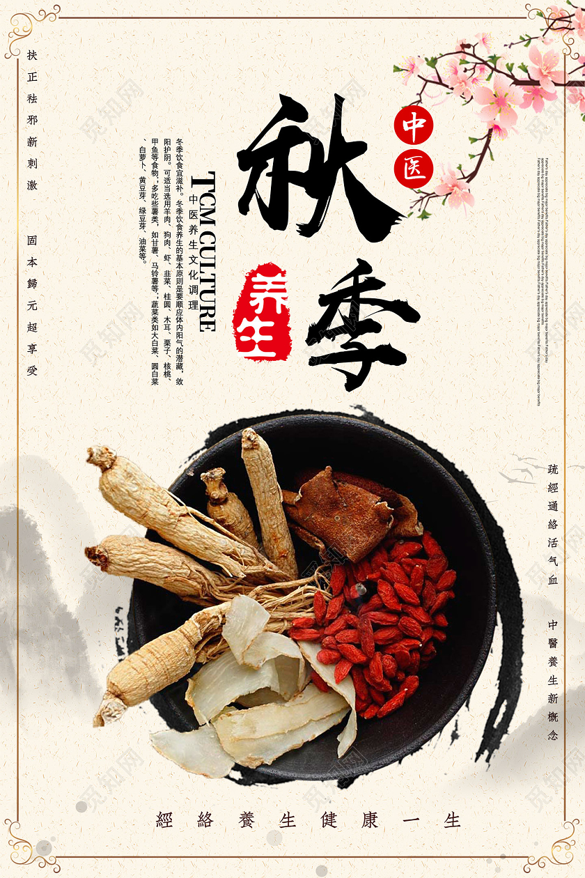水墨中国风秋季养生秋天秋季养生海报