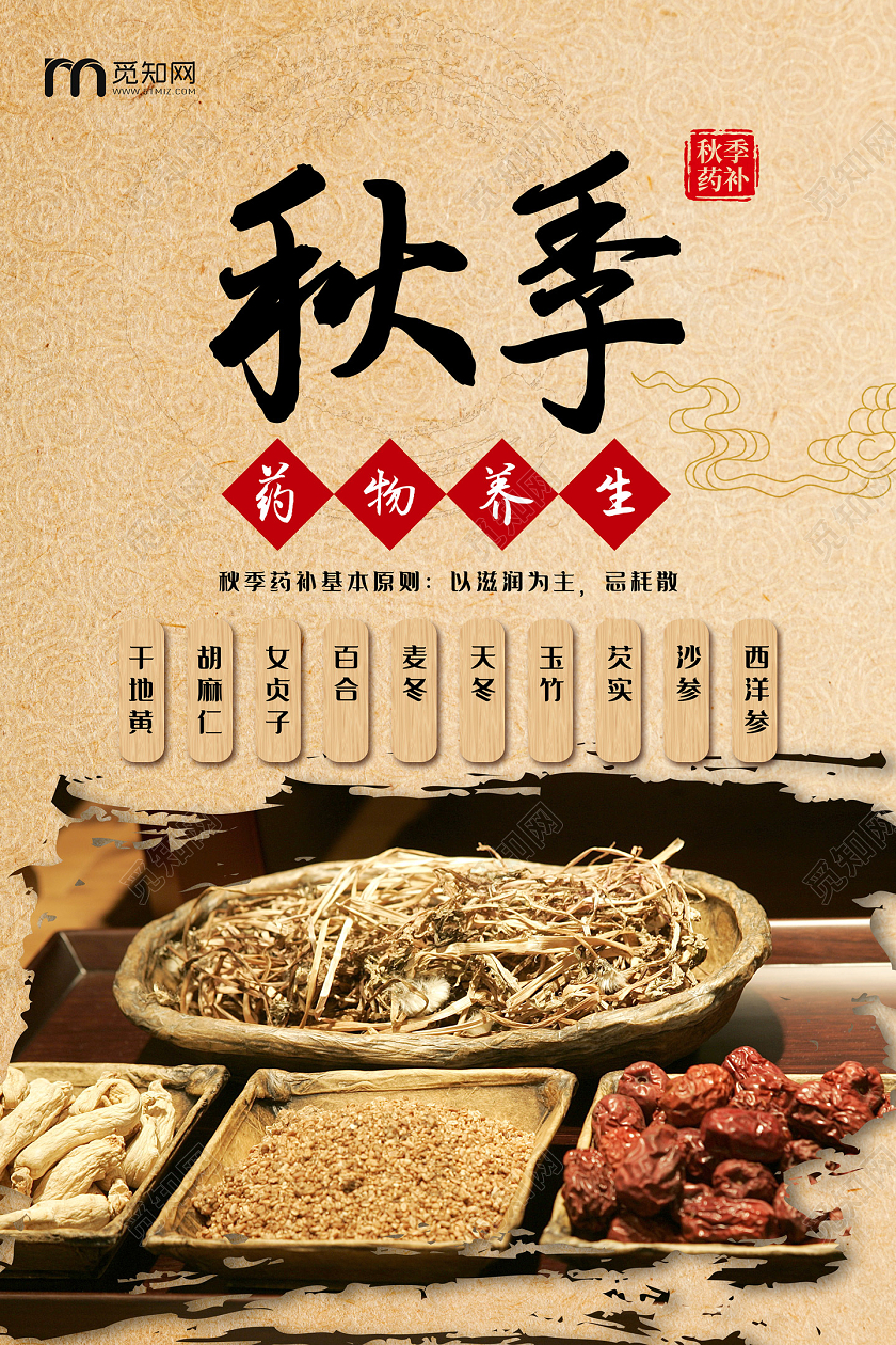 水墨复古中国风秋季药物养生秋天秋季养生海报