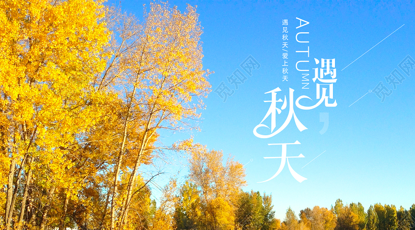 黄色实景遇见秋天你好秋天秋季微信公众号