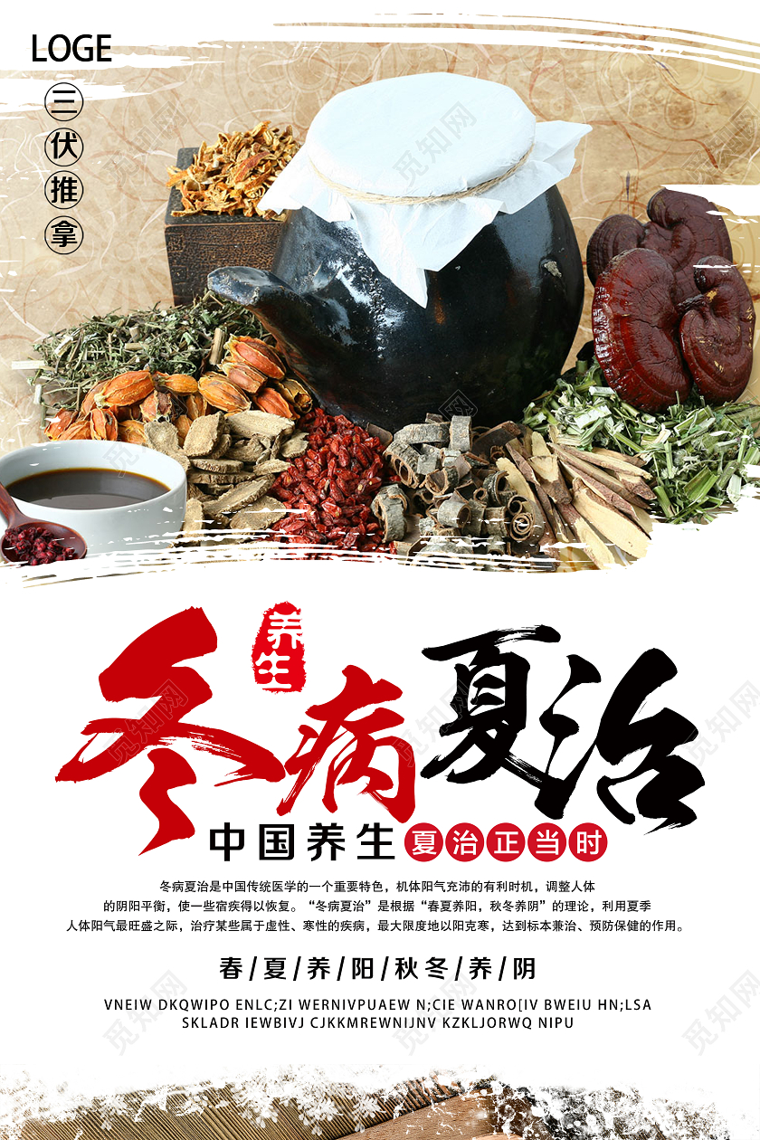 大气白色冬病夏治宣传海报