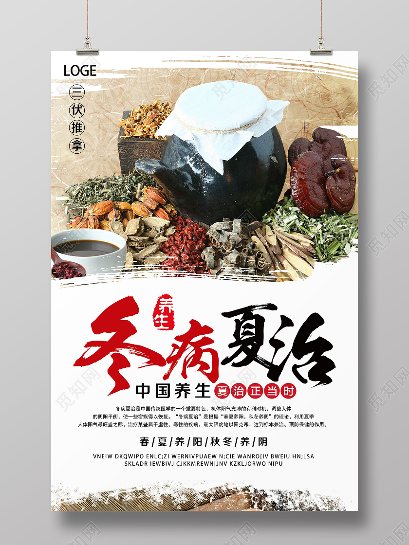 大气白色冬病夏治宣传海报