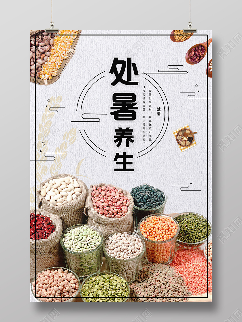 白色古风处暑处暑养生海报