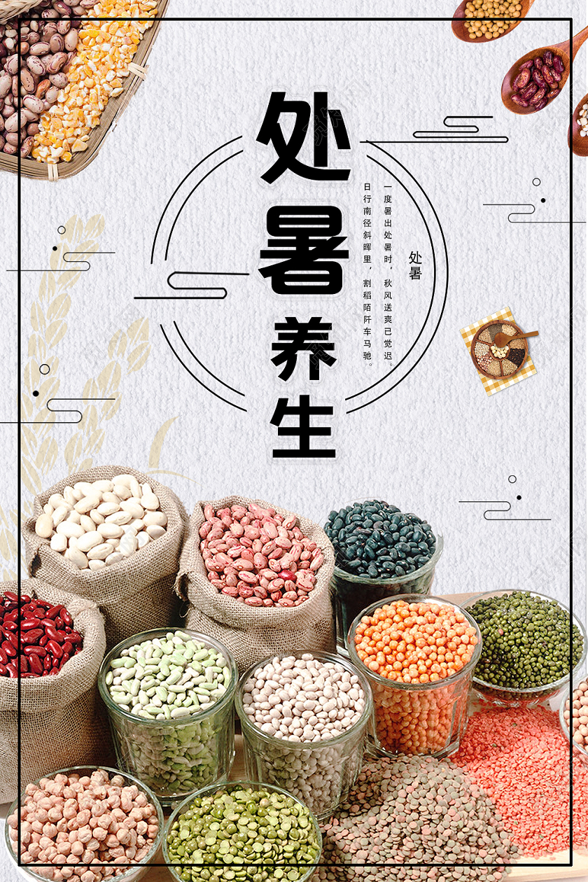 白色古风处暑处暑养生海报