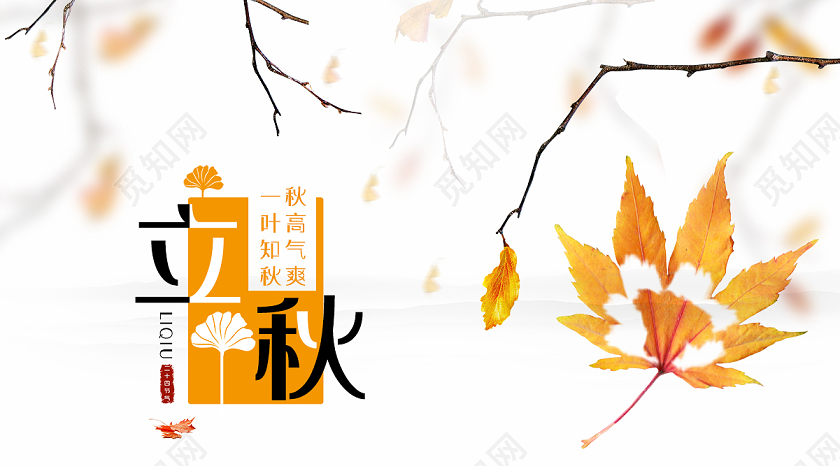 简约大气唯美立秋二十四节气配图立秋公众号banner