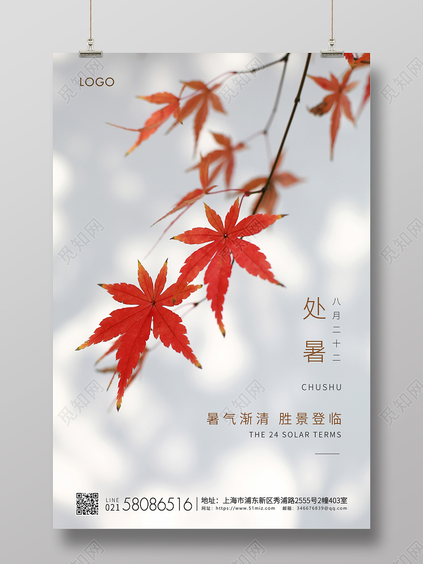 白色简约处暑节气二十四节气宣传海报