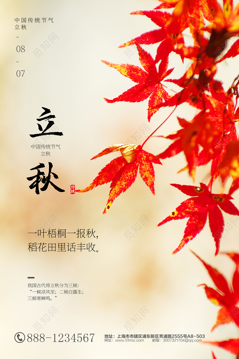 摄影枫叶简约二十四节气立秋宣传海报设计