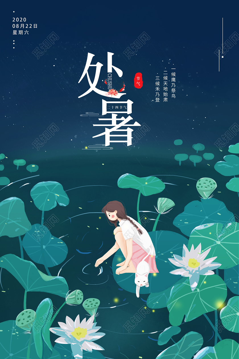 绿色简约荷花荷叶夏天夏季处暑十二节气传统节气海报宣传